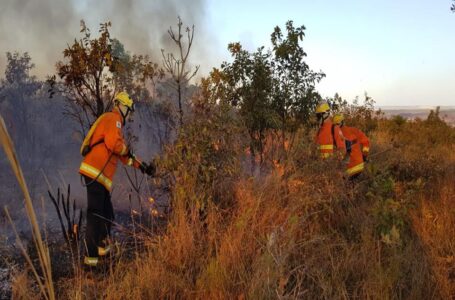 Incêndio atinge vegetação perto do Mangueiral e da Papuda