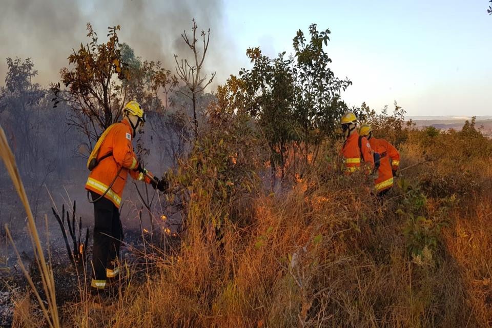 Incêndio atinge vegetação perto do Mangueiral e da Papuda