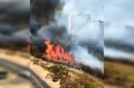 Incêndio atinge Parque Ecológico de Águas Claras e assusta moradores