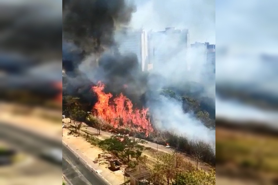 Incêndio atinge Parque Ecológico de Águas Claras e assusta moradores