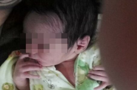 ENCONTRADO | Bebê sequestrado em hospital do DF de madrugada é encontrado