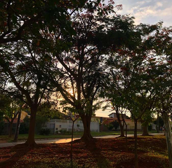 Sexta será de calor; risco de chuva forte e estado de alerta continuam