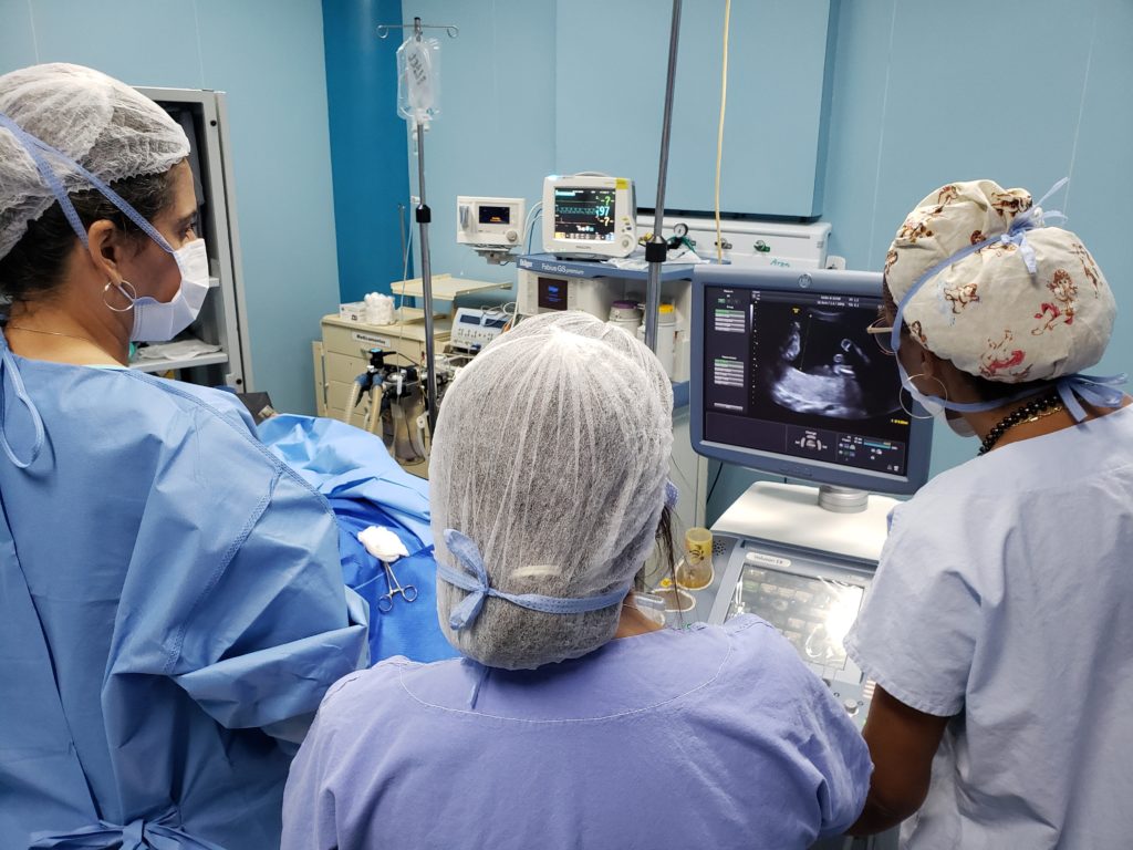 Hmib conclui cirurgia intrauterina com sucesso e salva gêmeas