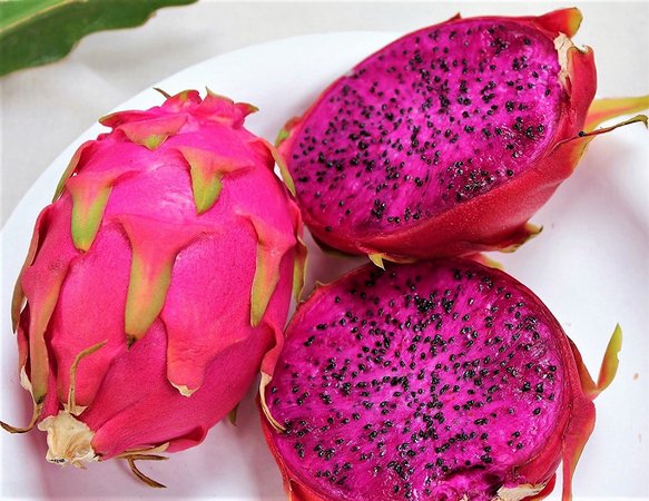 Veja os benefícios da pitaya e por que ela ajuda a emagrecer