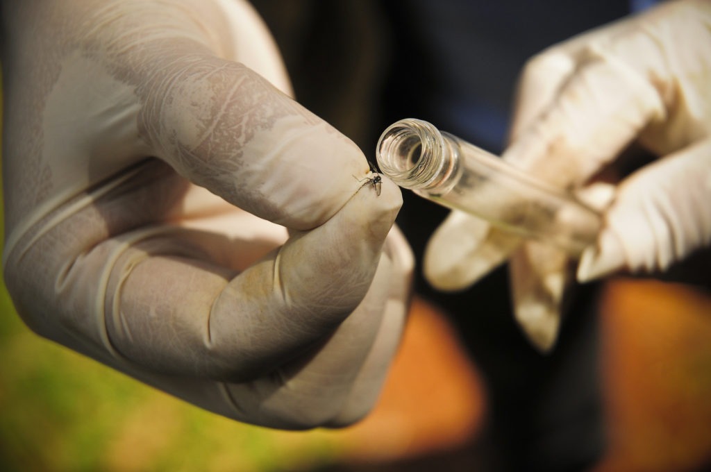 Educação faz nesta quarta-feira (10) o Dia D de Combate à Dengue