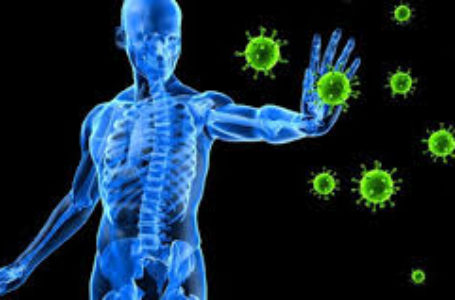 O que fazer para fortalecer o sistema imune