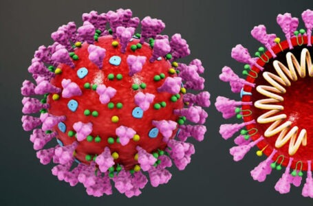 Ministério da Saúde publica guia com evidências científicas sobre diagnóstico e tratamento para coronavírus