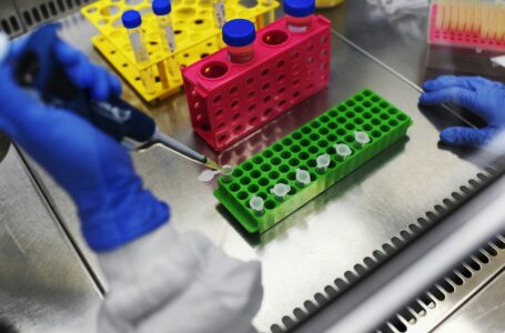 Pesquisadores brasileiros buscam moléculas para combater a covid-19