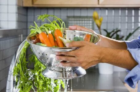 Aprenda a forma correta de higienizar frutas, verduras, legumes e embalagens