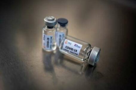 Covid-19: Potencial vacina do Brasil será testada em animais