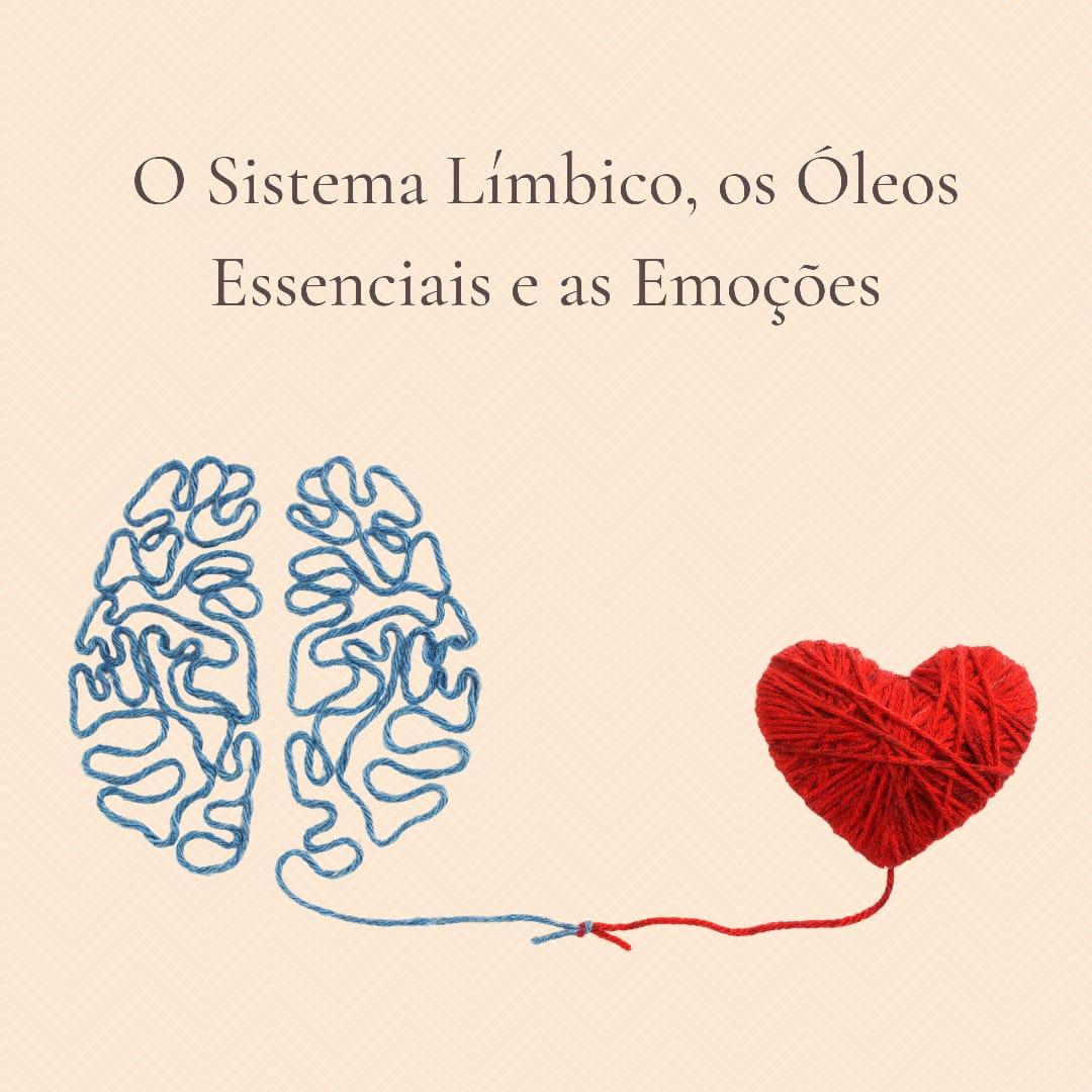 VERUSCA GOMES | O sistema límbico, os óleos essenciais e as emoções