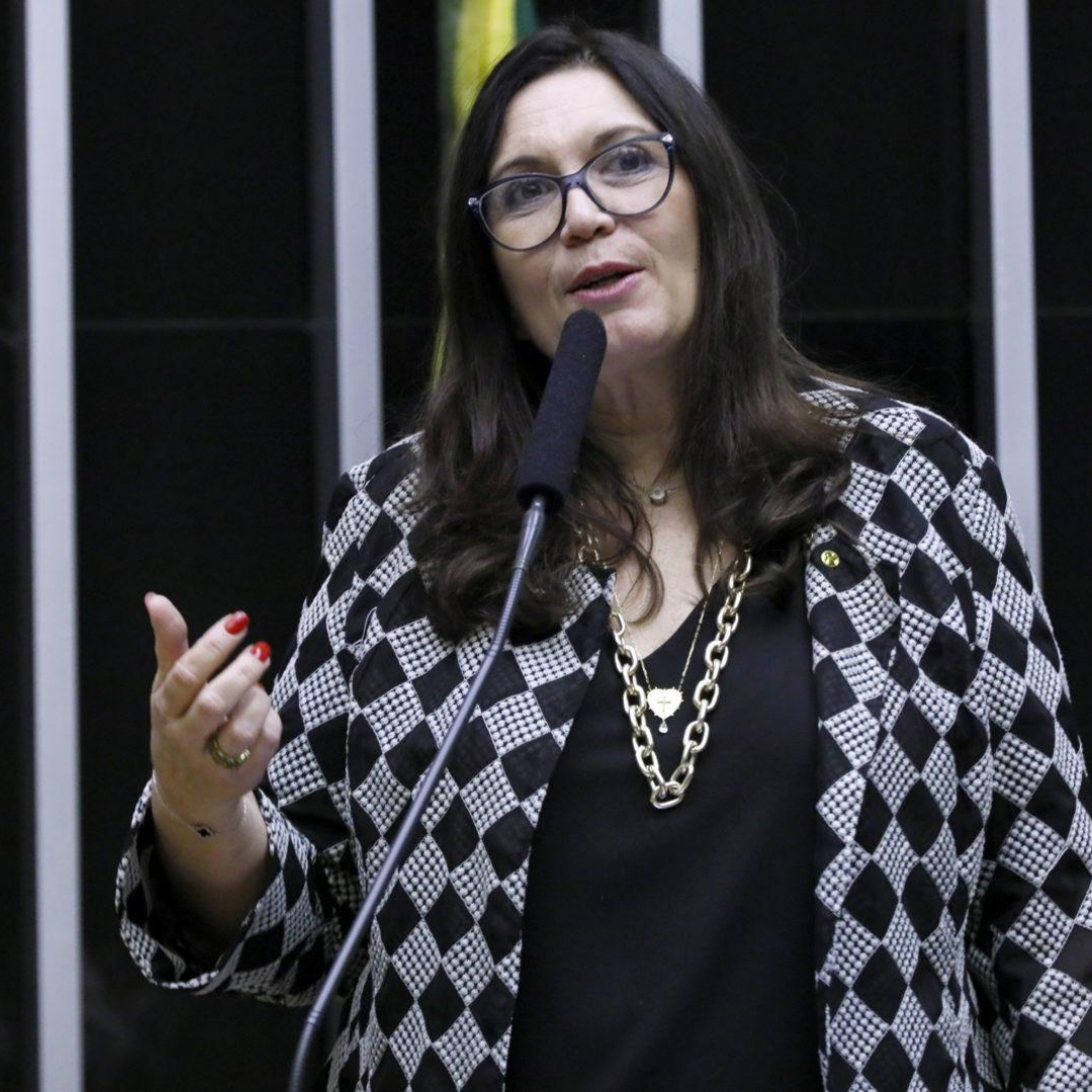 Bia Kicis não é mais vice-líder do governo