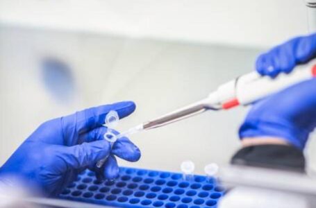 Moderna divulga detalhes de vacina da covid-19: 100% de sucesso