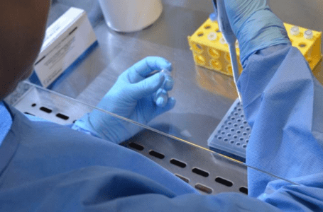 Universidade de Brasília e HUB iniciam teste de vacina contra covid-19