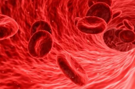 Nível de ferro no sangue pode ser segredo para vida longa