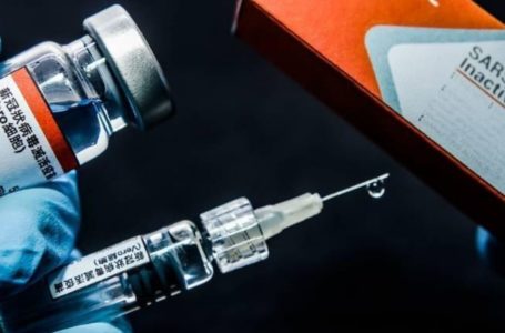 Butantan prevê entregar vacina contra covid-19 ao SUS em dezembro de 2020