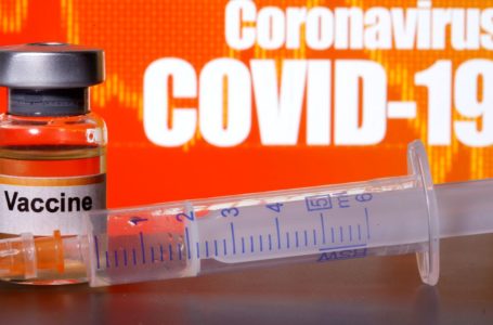 Anvisa autoriza ampliação do número de voluntários da vacina da Sinovac contra Covid-19