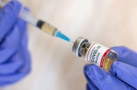 Após reunião com Pazuello, Caiado anuncia mais 160 mil novas doses de vacinas contra Covid-19 para Goiás
