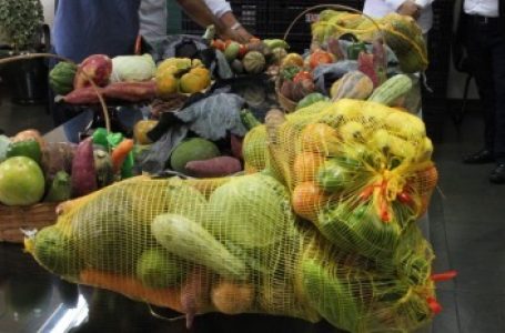 GDF compra mais de 63 mil cestas verdes da agricultura familiar