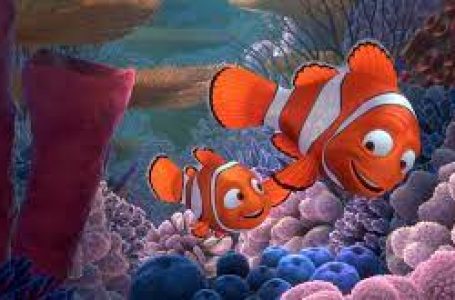 4 momentos mais divertidos de Procurando Nemo para relembrar