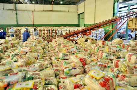 “Nós vamos entregar mais de 1 milhão de cestas básicas até novembro”, projeta Caiado