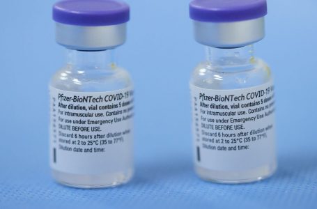 Brasil recebe mais dois lotes de vacinas da Pfizer