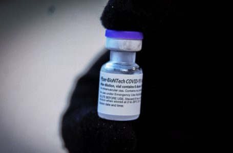 Pfizer para crianças: vacina não é a mesma usada em adultos