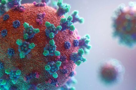 Pesquisa da USP e do Sírio alerta para mais variantes do coronavírus