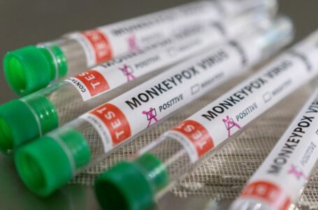 Brasil tem 106 casos de varíola dos macacos confirmados