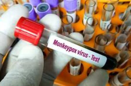 Sintomas da varíola dos macacos: 7 sinais que podem indicar a presença da doença