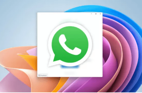 WhatsApp: novo app para Windows 11 consegue funcionar sem celular