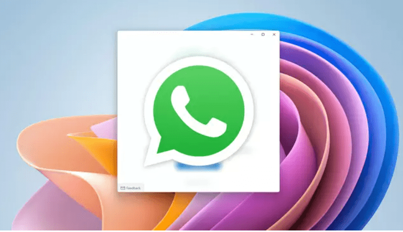 WhatsApp: novo app para Windows 11 consegue funcionar sem celular