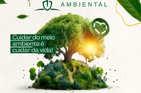 Pautada pela sustentabilidade, Alego promove 5ª edição do projeto Virada Ambiental