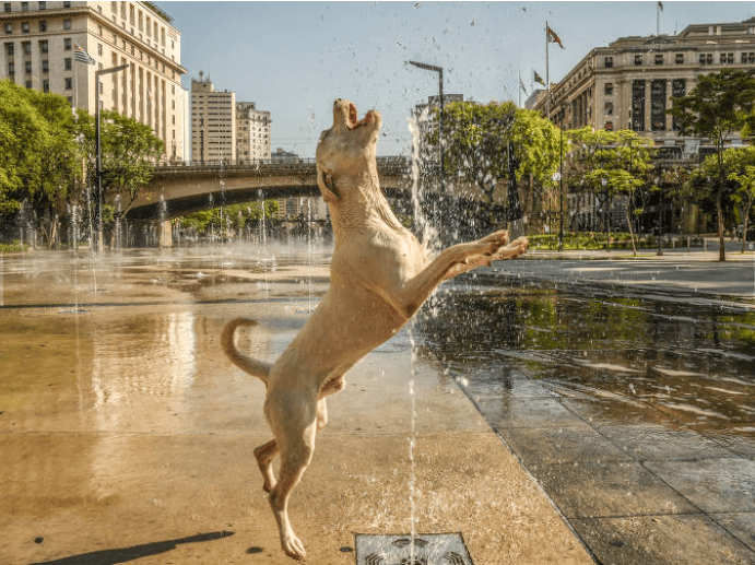 Verão no Brasil deve ter recorde de calor e pouca chuva