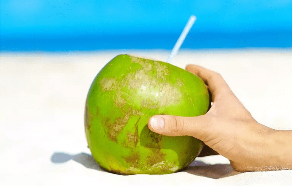 Água de coco: 5 bons motivos para apostar nela