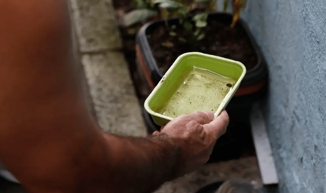 Vacina da dengue agrega outras estratégias de combate, diz ministério