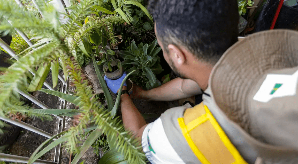 Dia D: secretarias de saúde promovem ações de combate à dengue