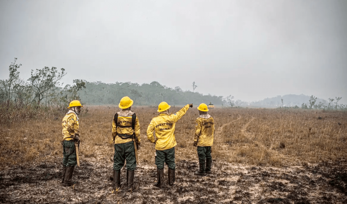 Dino estabelece orçamento de emergência para combate a incêndios