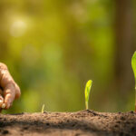 Senac-DF adere ao Pacto Global da ONU e fortalece o compromisso com a sustentabilidade