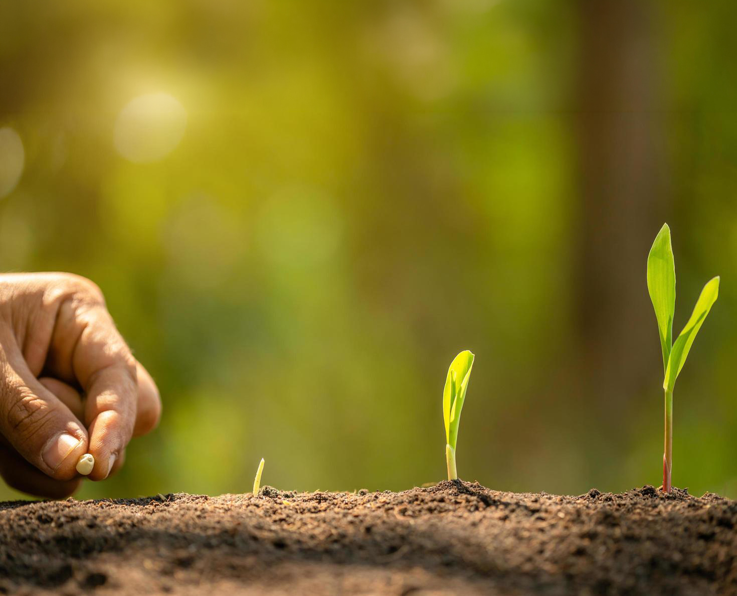 Senac-DF adere ao Pacto Global da ONU e fortalece o compromisso com a sustentabilidade